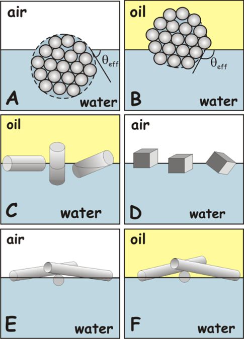 Adsorption of anisotropic particles