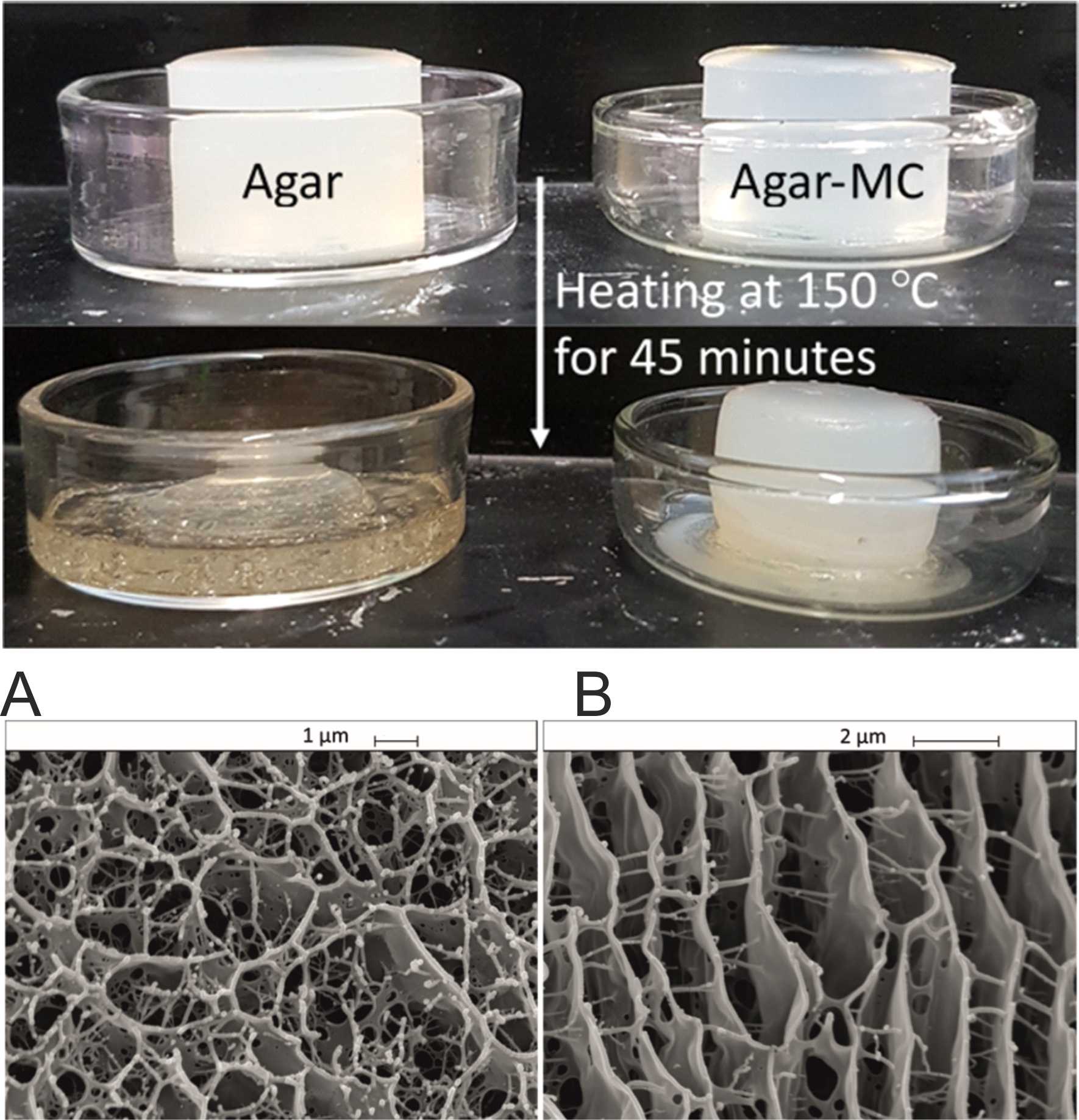 Agar-MC gels