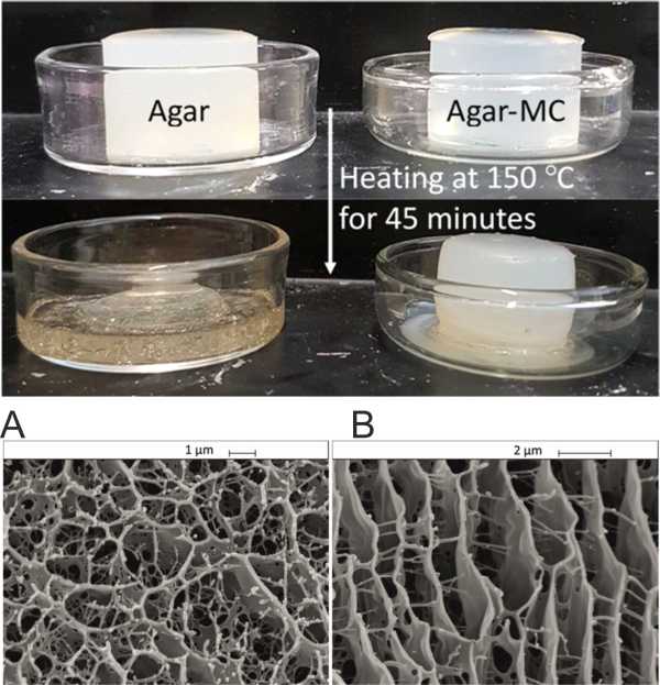 Agar-MC gels