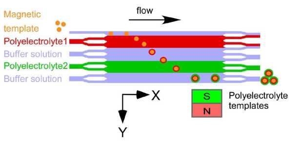 Ali magnetic capsules on chip