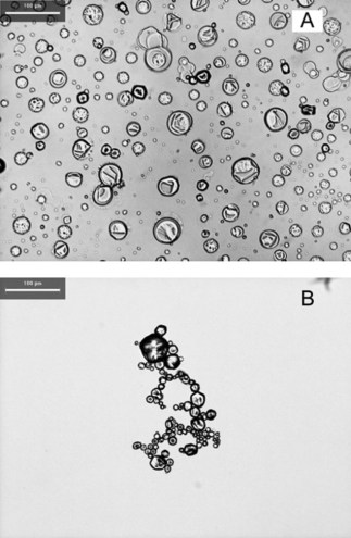 anisotropic magnetic lenses
