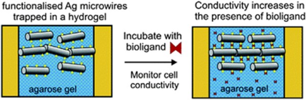 biofunctionalised silver mirowires