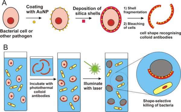 colloid antibodies