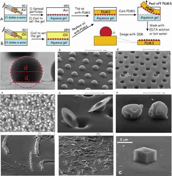 composite graph paunov2