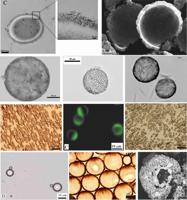 composite graph paunov3