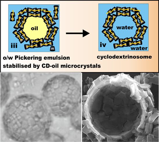 cyclodextrinosomes