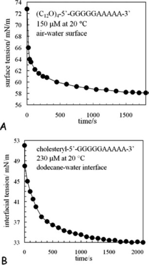 DNA suractant adsorption