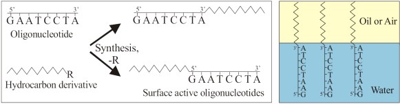 DNA surfactant