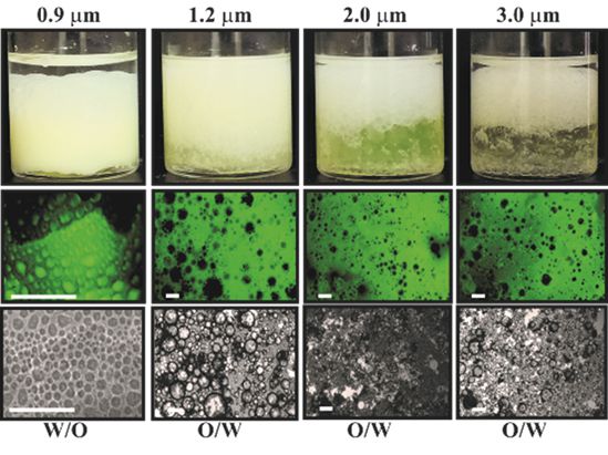 emulsions stabilised with cml latex