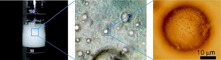 hydrophobic cellulose stabilised foams