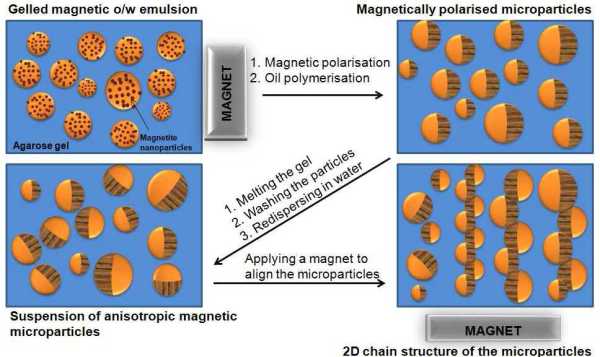 magnetic janus particles