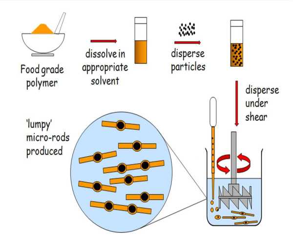 microrods with inclusions