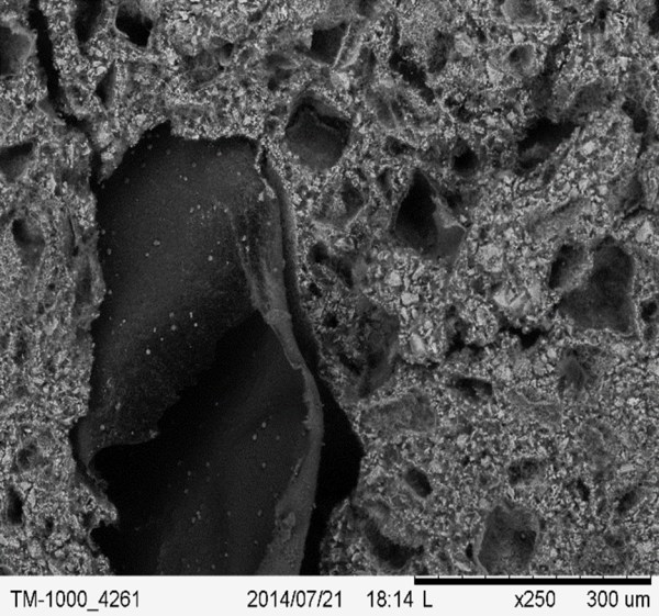 SEM microporous cement