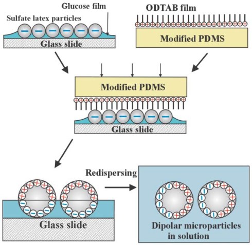 dipolar microparticles1