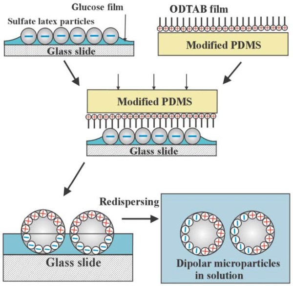 dipolar microparticles1
