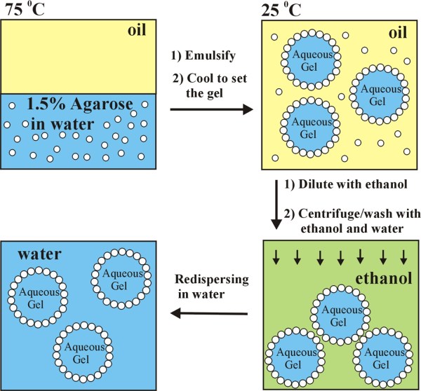 gel core colloidosomes1