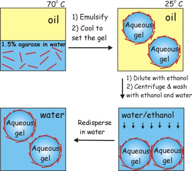 hairy colloidosomes1