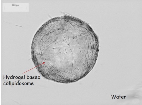 hairy colloidosomes2