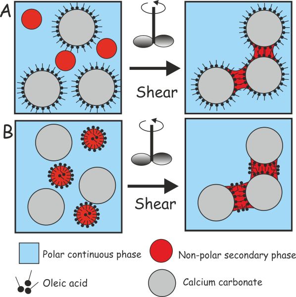 capillary suspensions in water