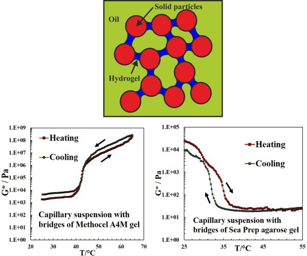 Thermally Responsive Capillary Suspensions