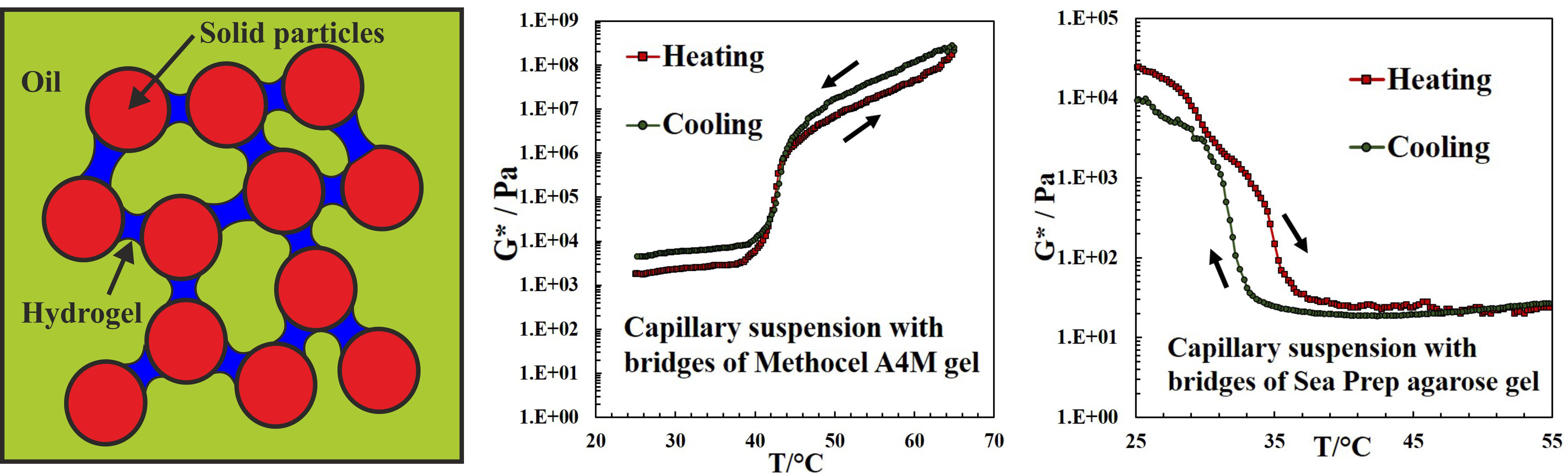 Thermally Responsive Capillary Suspensions2