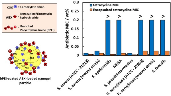 Antimicrobial resistance - Nanoscale 2019