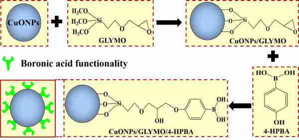 self-grafting CuONPs-Fig1