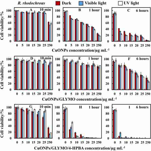 Self-Grafting CuONPs-Fig3