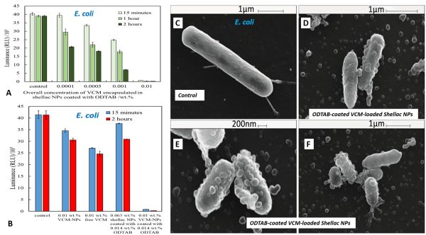 VCM-Shellac on E.coli