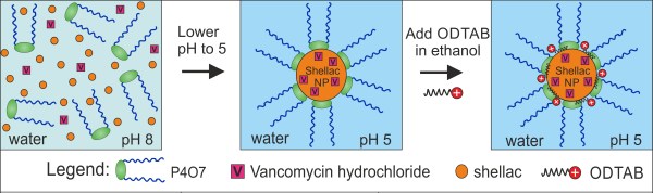 VCM-Shellan NP preparation