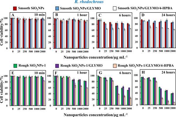 Rough ghost silica - Rhodochrous