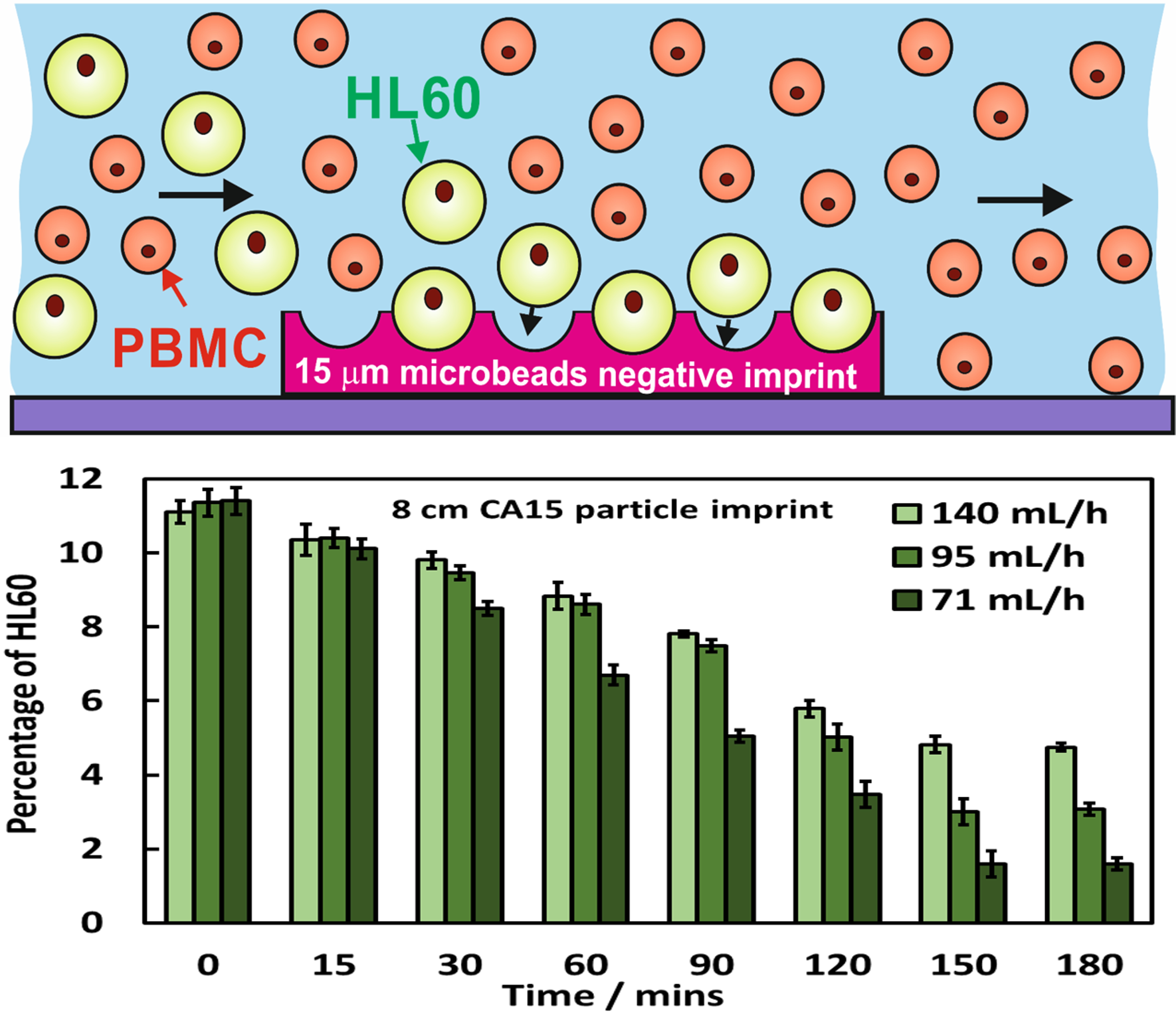 Cell recognition chromatography
